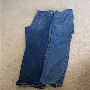 Maurices Women's Blue Jeans
